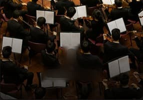 Musicien Solo